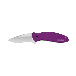Kershaw 1620PUR Scallion, Purple
